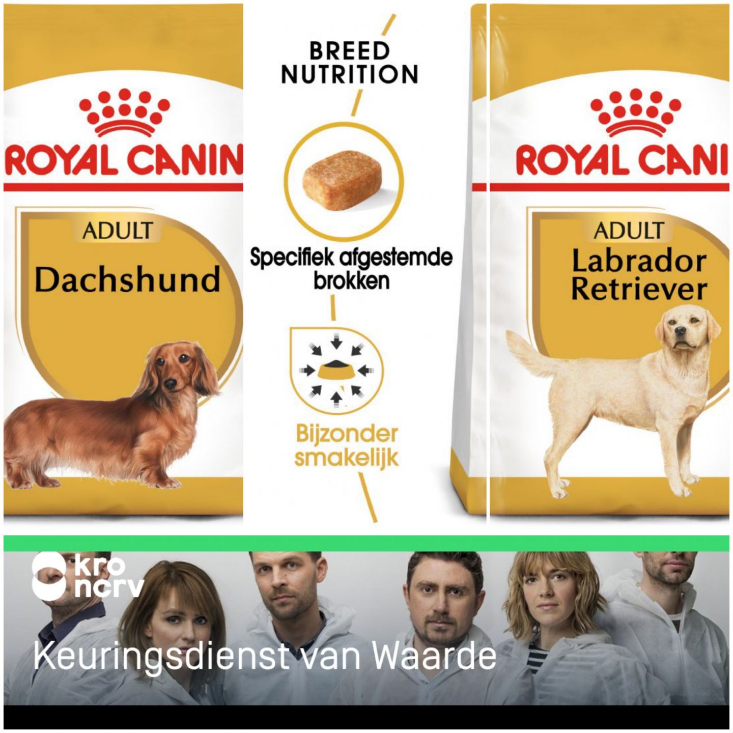 Noodlottig ginder hoorbaar Hondenbrokken reviews | Voerwijzer.com