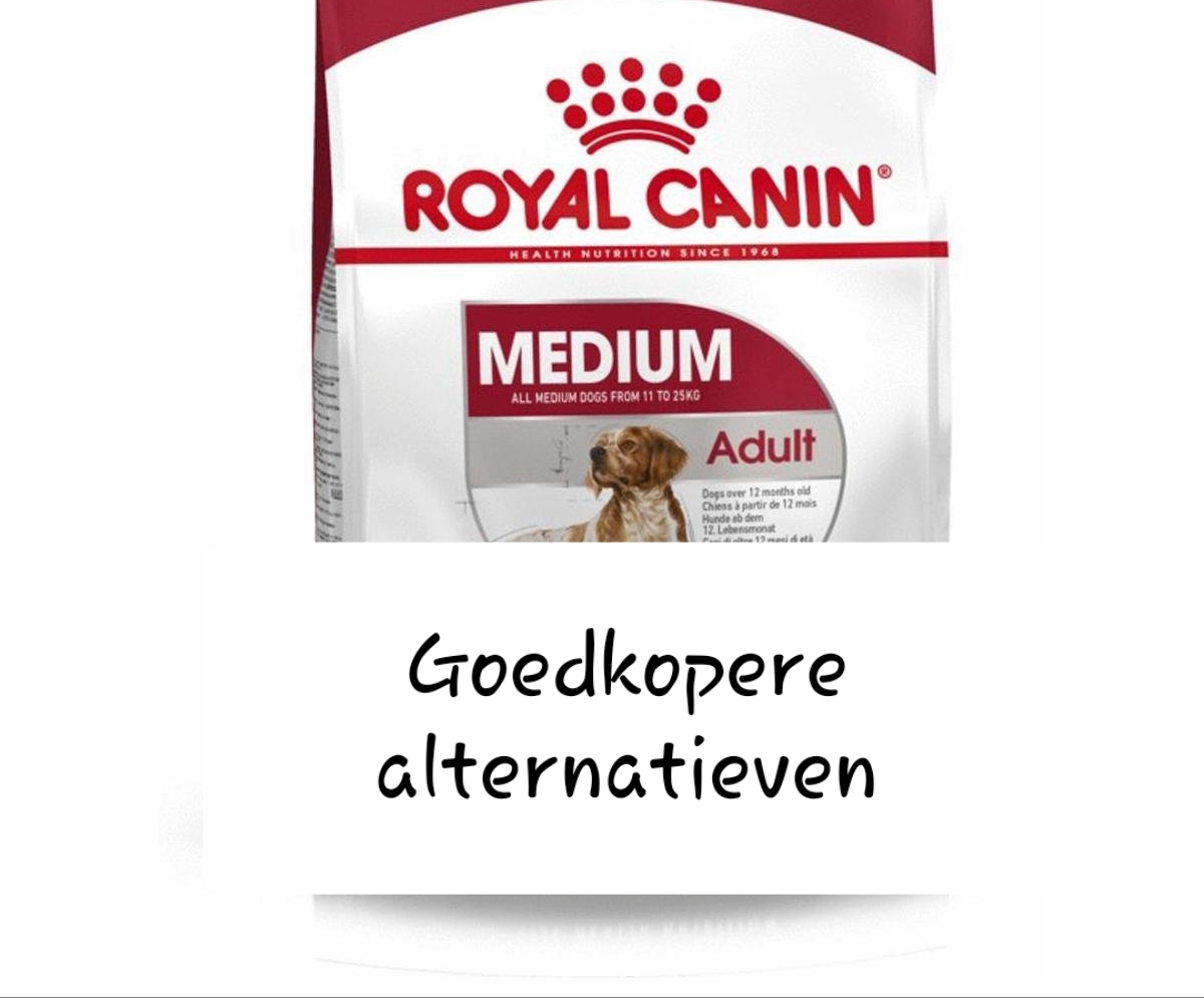 Bewolkt Weg huis motor Prijsstijging Royal Canin - dit zijn betere en goedkopere alternatieven |  Voerwijzer.com